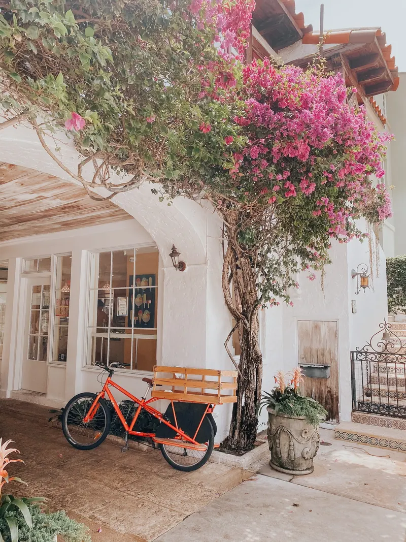 Bougainvillea over a Palm Beach courtyard with a bicycle
